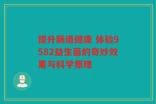 提升肠道健康 体验9582益生菌的奇妙效果与科学原理