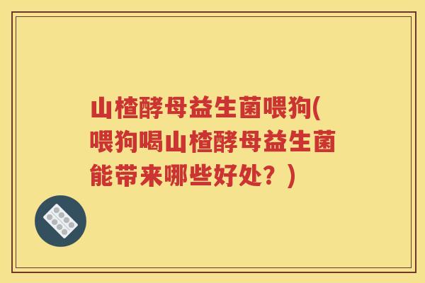 山楂酵母益生菌喂狗(喂狗喝山楂酵母益生菌能带来哪些好处？)