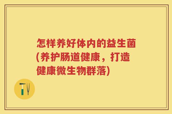 怎样养好体内的益生菌(养护肠道健康,打造健康微生物群落)