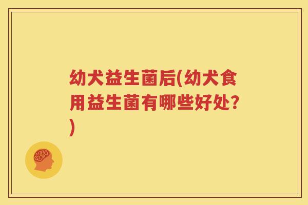 幼犬益生菌后(幼犬食用益生菌有哪些好处？)