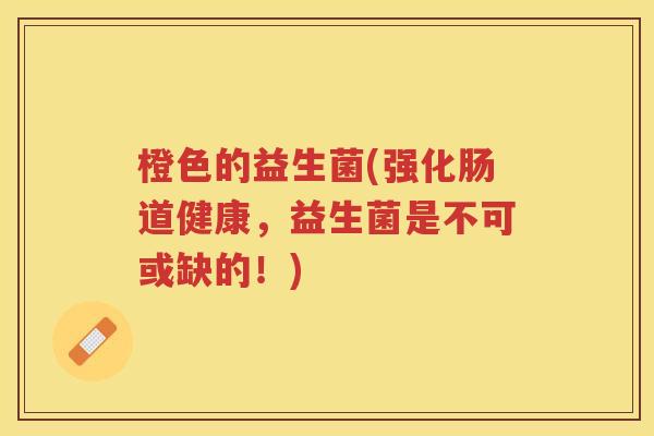 橙色的益生菌(强化肠道健康,益生菌是不可或缺的!)