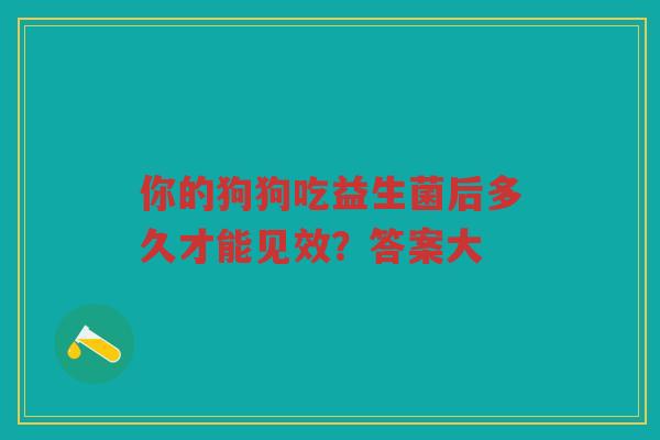 你的狗狗吃益生菌后多久才能见效？答案大