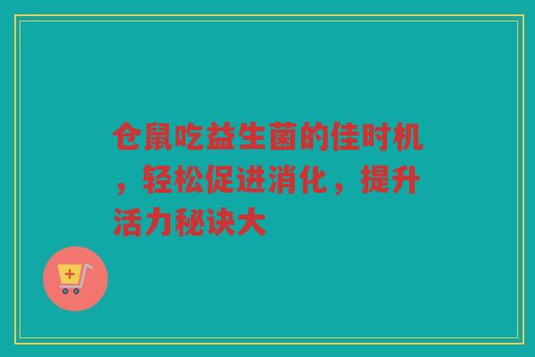 仓鼠吃益生菌的佳时机，轻松促进消化，提升活力秘诀大