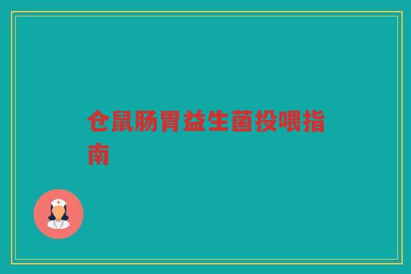 仓鼠肠胃益生菌投喂指南
