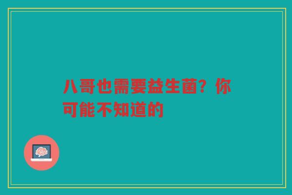 八哥也需要益生菌?你可能不知道的 八哥也需要益生菌?你可能不知道的