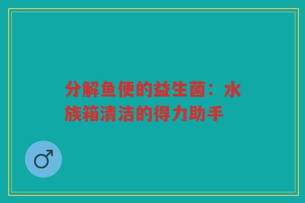 分解鱼便的益生菌：水族箱清洁的得力助手
