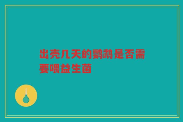 出壳几天的鹦鹉是否需要喂益生菌