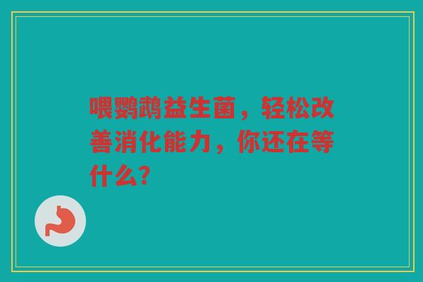 喂鹦鹉益生菌，轻松改善消化能力，你还在等什么？