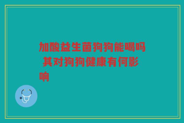 加酸益生菌狗狗能喝吗 其对狗狗健康有何影响
