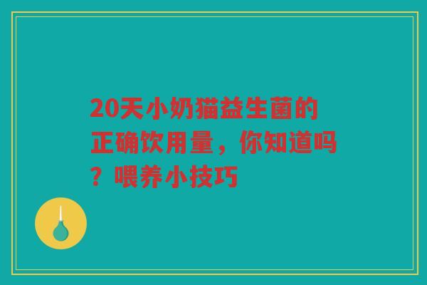 20天小奶猫益生菌的正确饮用量，你知道吗？喂养小技巧