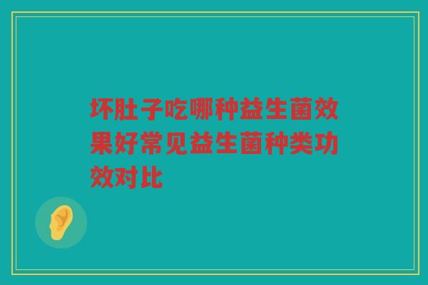 坏肚子吃哪种益生菌效果好常见益生菌种类功效对比