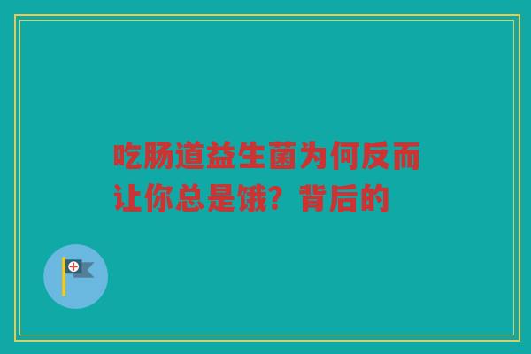 吃肠道益生菌为何反而让你总是饿?背后的