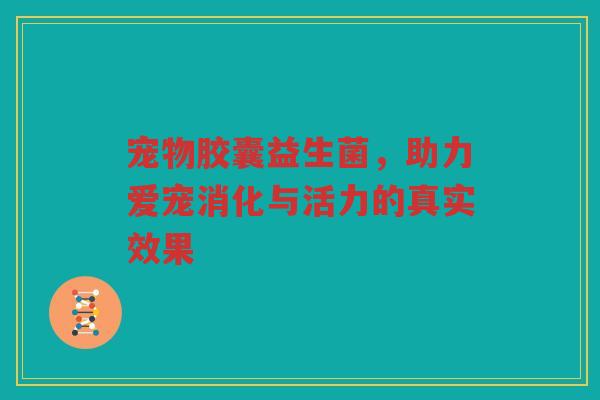 宠物胶囊益生菌,助力爱宠消化与活力的真实效果