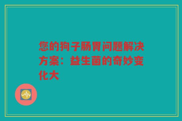 您的狗子肠胃问题解决方案:益生菌的奇妙变化大