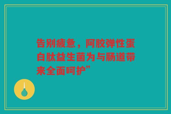 告别疲惫,阿胶弹性蛋白肽益生菌为与肠道带来全面呵护”