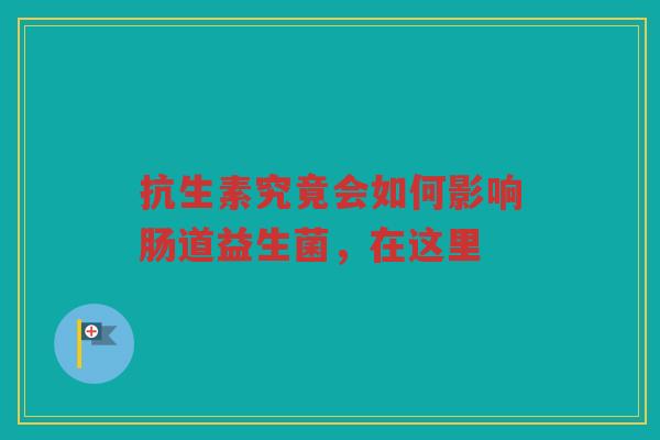 抗生素究竟会如何影响肠道益生菌,在这里