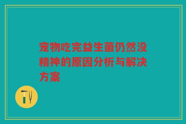 宠物吃完益生菌仍然没精神的原因分析与解决方案 宠物吃完益生菌仍然没精神的原因分析与解决方案