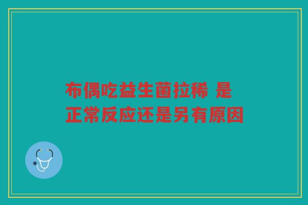 布偶吃益生菌拉稀 是正常反应还是另有原因