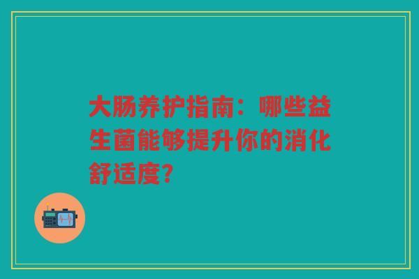 大肠养护指南：哪些益生菌能够提升你的消化舒适度？