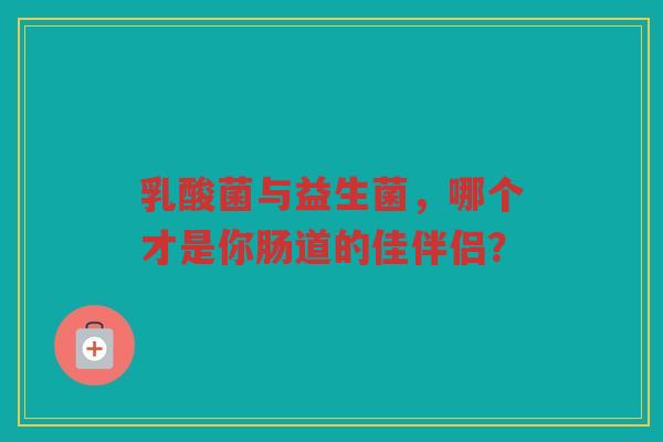 乳酸菌与益生菌，哪个才是你肠道的佳伴侣？