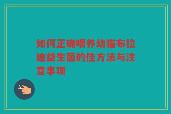 如何正确喂养幼猫布拉迪益生菌的佳方法与注意事项