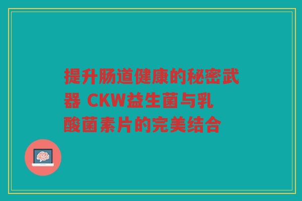 提升肠道健康的秘密武器 CKW益生菌与乳酸菌素片的完美结合