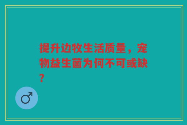 提升边牧生活质量,宠物益生菌为何不可或缺?