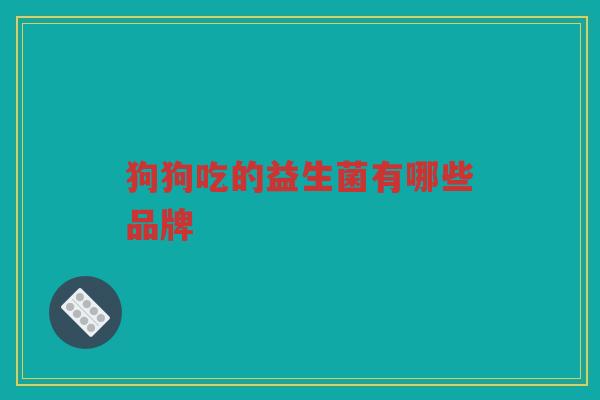 狗狗吃的益生菌有哪些品牌