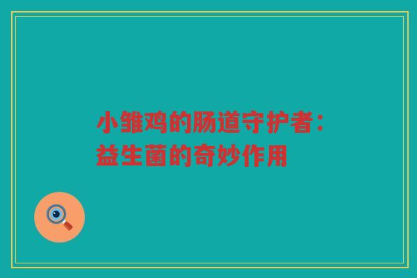 小雏鸡的肠道守护者:益生菌的奇妙作用