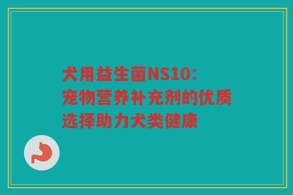 犬用益生菌NS10:宠物营养补充剂的优质选择助力犬类健康