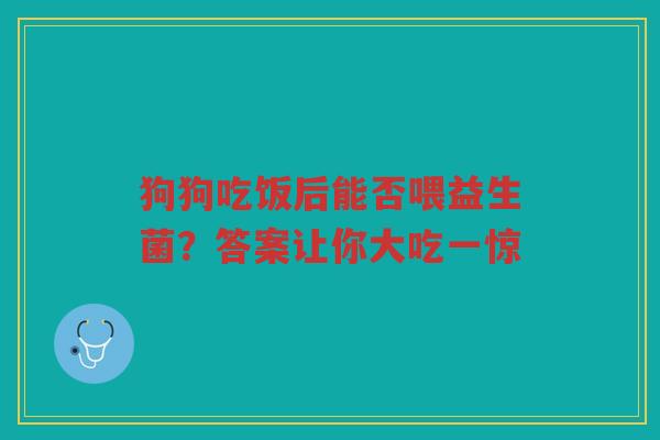 狗狗吃饭后能否喂益生菌？答案让你大吃一惊