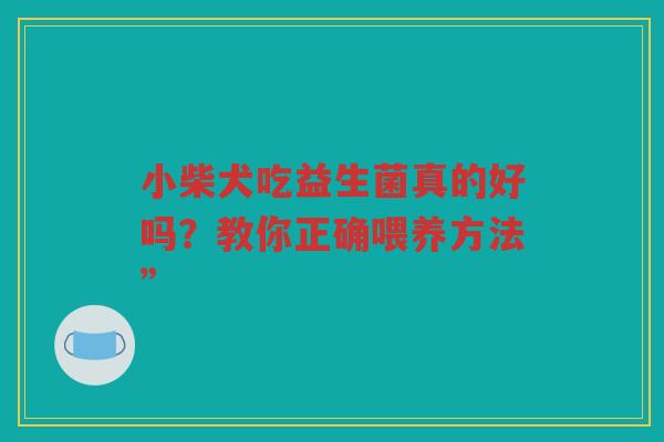 小柴犬吃益生菌真的好吗?教你正确喂养方法”