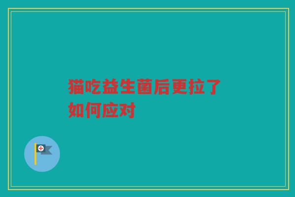 猫吃益生菌后更拉了 如何应对