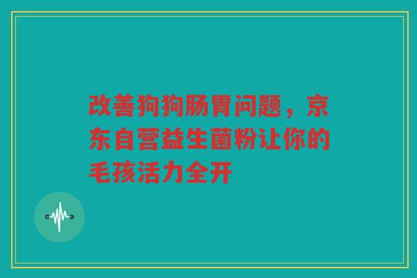 改善狗狗肠胃问题,京东自营益生菌粉让你的毛孩活力全开