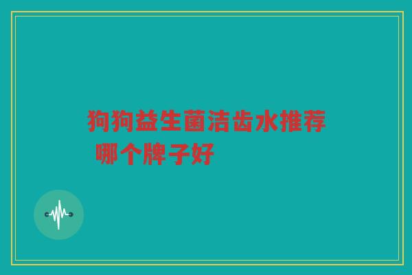 狗狗益生菌洁齿水推荐 哪个牌子好