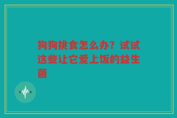 狗狗挑食怎么办?试试这些让它爱上饭的益生菌 狗狗挑食怎么办?试试这些让它爱上饭的益生菌