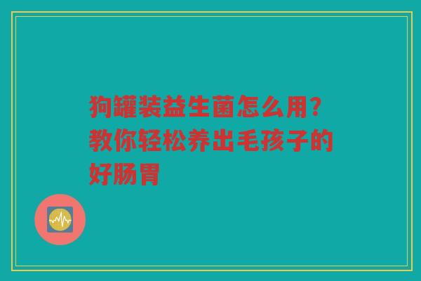 狗罐装益生菌怎么用?教你轻松养出毛孩子的好肠胃
