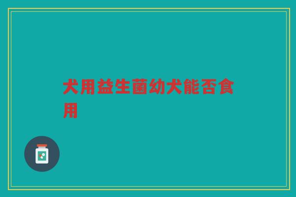 犬用益生菌幼犬能否食用