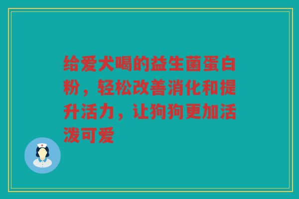 给爱犬喝的益生菌蛋白粉,轻松改善消化和提升活力,让狗狗更加活泼可爱