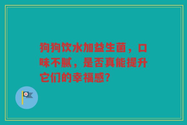 狗狗饮水加益生菌,口味不腻,是否真能提升它们的幸福感?