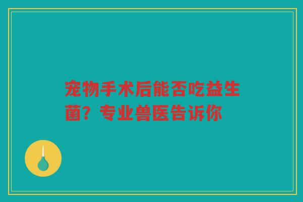 宠物手术后能否吃益生菌?专业兽医告诉你 宠物手术后能否吃益生菌?专业兽医告诉你