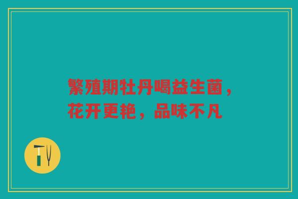 繁殖期牡丹喝益生菌,花开更艳,品味不凡 繁殖期牡丹喝益生菌,花开更艳,品味不凡