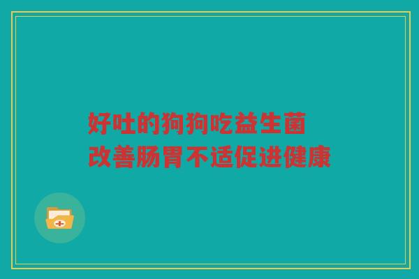 好吐的狗狗吃益生菌 改善肠胃不适促进健康
