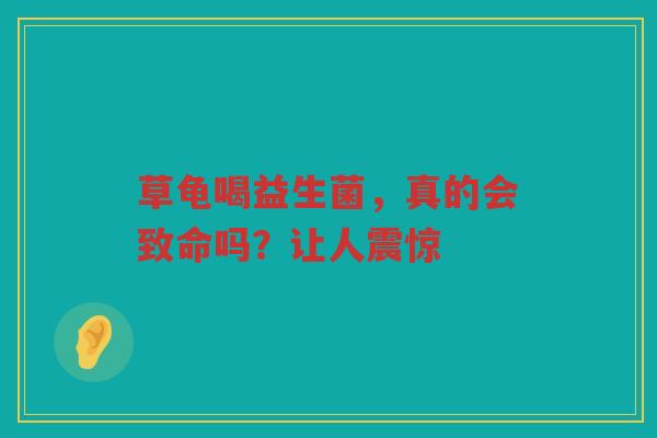 草龟喝益生菌,真的会致命吗?让人震惊 草龟喝益生菌,真的会致命吗?让人震惊