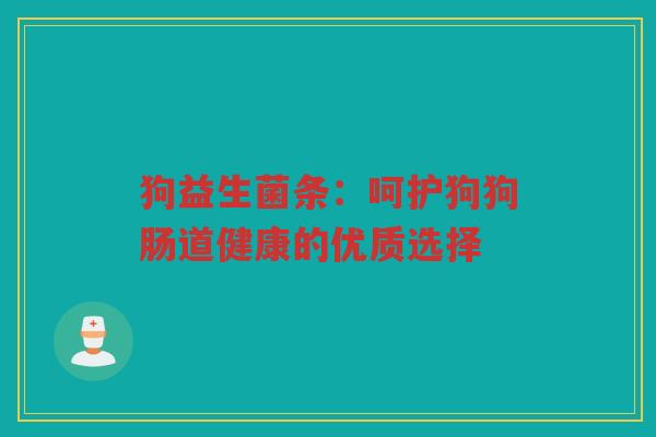 狗益生菌条:呵护狗狗肠道健康的优质选择