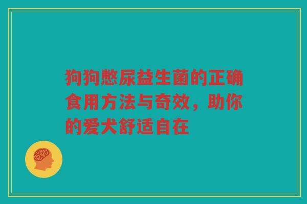 狗狗憋尿益生菌的正确食用方法与奇效,助你的爱犬舒适自在