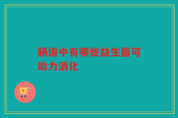 肠道中有哪些益生菌可助力消化