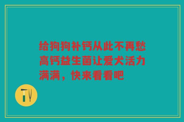 给狗狗补钙从此不再愁高钙益生菌让爱犬活力满满,快来看看吧 给狗狗补钙从此不再愁高钙益生菌让爱犬活力满满,快来看看吧