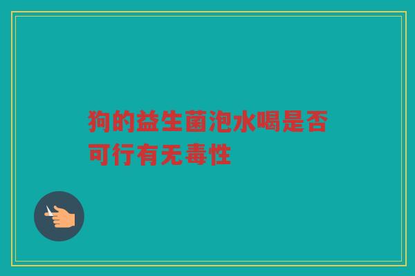 狗的益生菌泡水喝是否可行有无毒性
