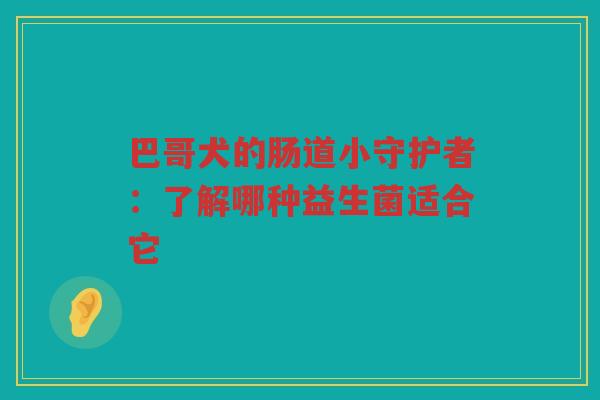 巴哥犬的肠道小守护者:了解哪种益生菌适合它 巴哥犬的肠道小守护者:了解哪种益生菌适合它